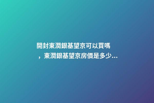 開封東潤銀基望京可以買嗎，東潤銀基望京房價是多少？